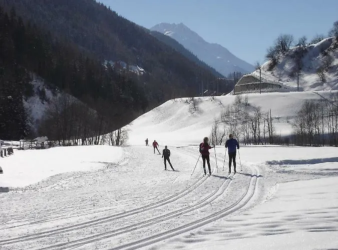 Daire Haus Diezig Goms